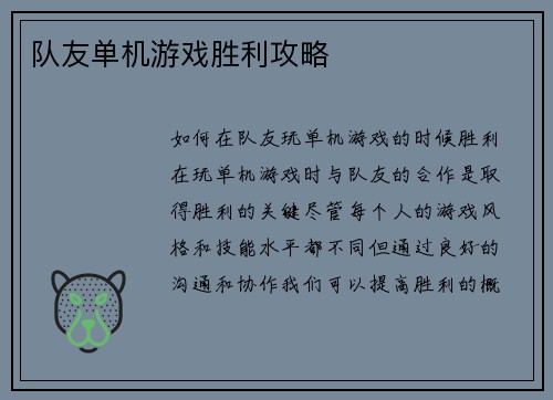 队友单机游戏胜利攻略